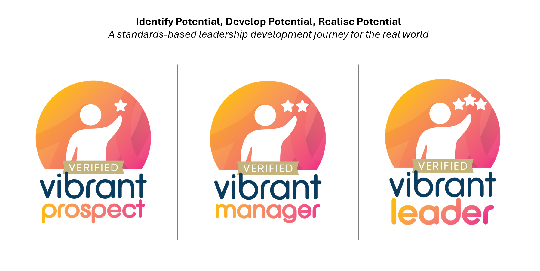 Vibrant Leaders Pathway